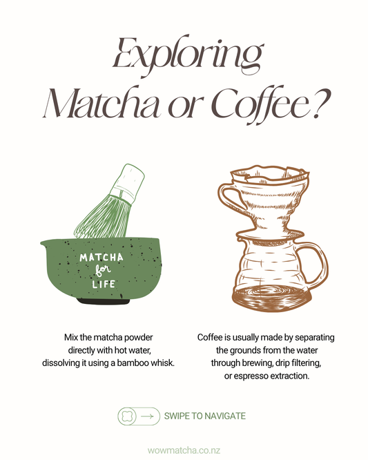🍵Matcha vs Coffee☕️